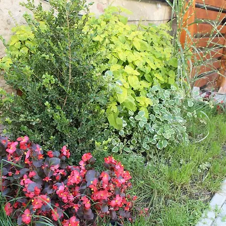 Apartment Pri Auparku *